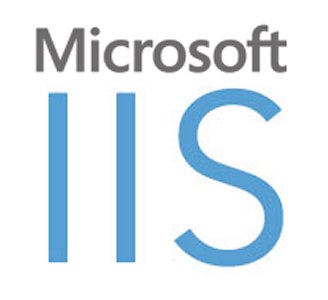 Logo for IIS Server
